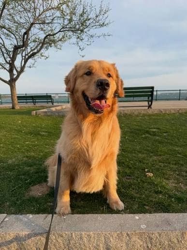 Foto original de Thor