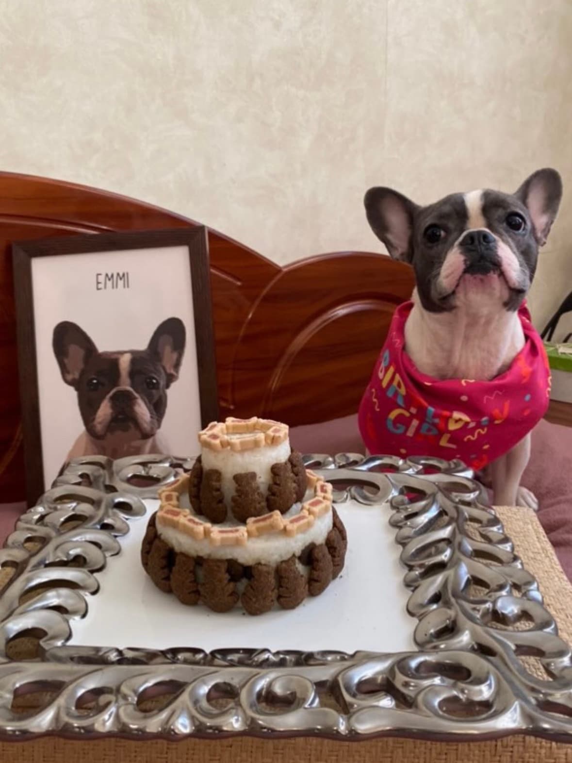 Bulldog com sua fotografia e quadro