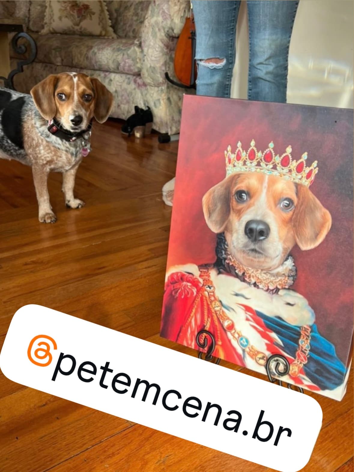 Cachorro ao lado de seu retrato em personagem da realeza